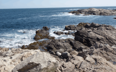 Tariffs and the Markets