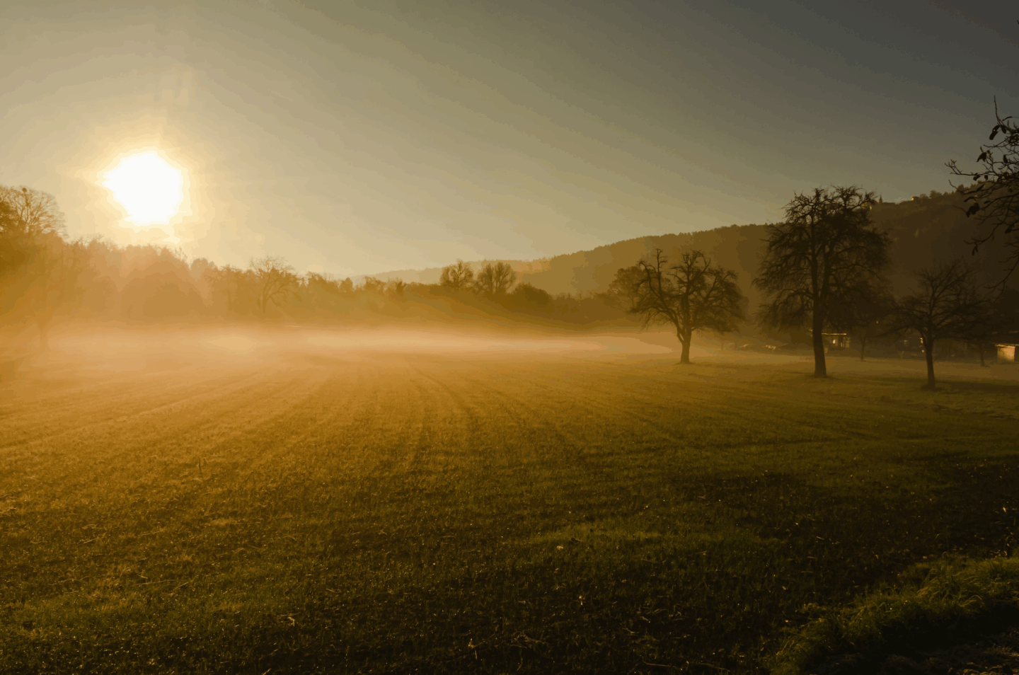 Similarities and Differences with the Tech Bubble Era